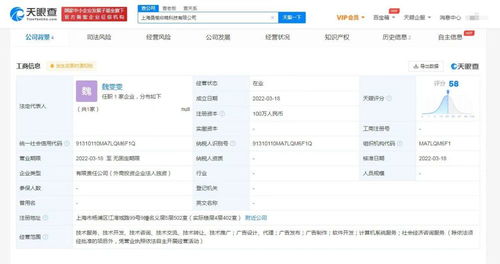 計算機(jī)系統(tǒng)服務(wù) 數(shù)字化時代的基石與引擎